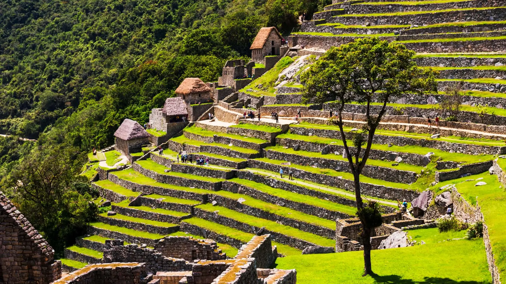 We are proud to be part of the Inca culture
