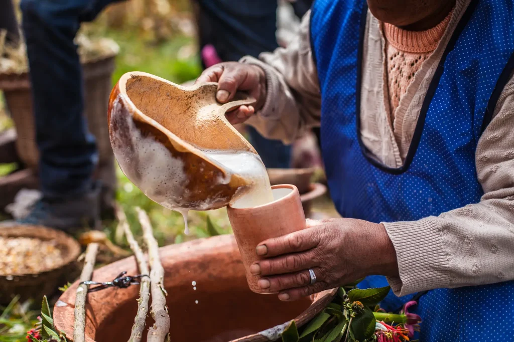 Chicha de Jora Sacred Inca Drink: The Cultural History of the Andes