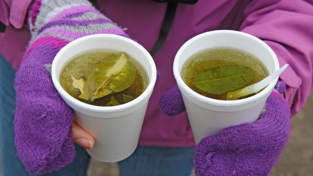 Coca Tea Break on the Salkantay Trek to Machu Picchu