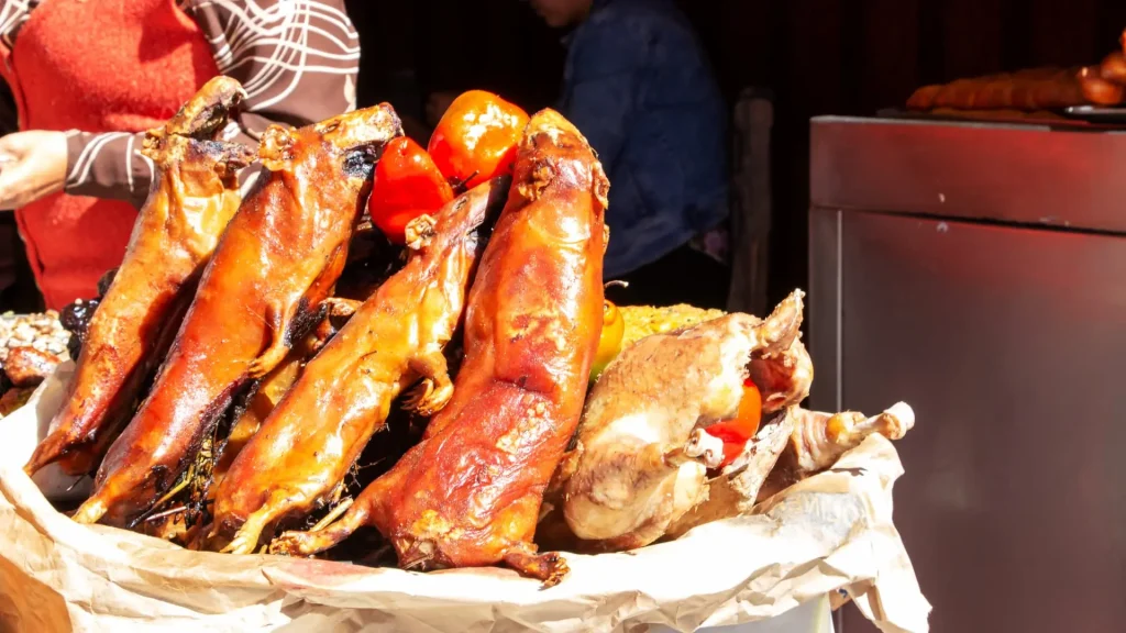 Guinea pig, the unusual star of Peruvian gastronomy