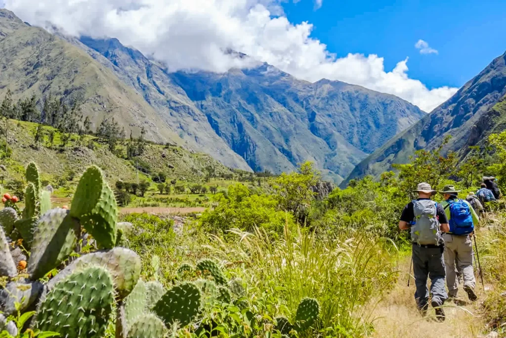 Inca Trail Flora and Fauna: A Sanctuary of Biodiversity in the Andes
