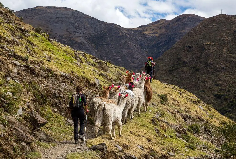 Lares Trek to Machu Picchu