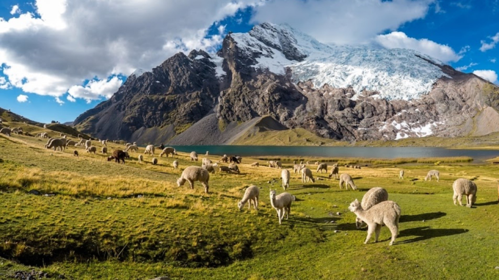 Ausangate Llama Trek: The Ultimate Adventure & Packing Guide