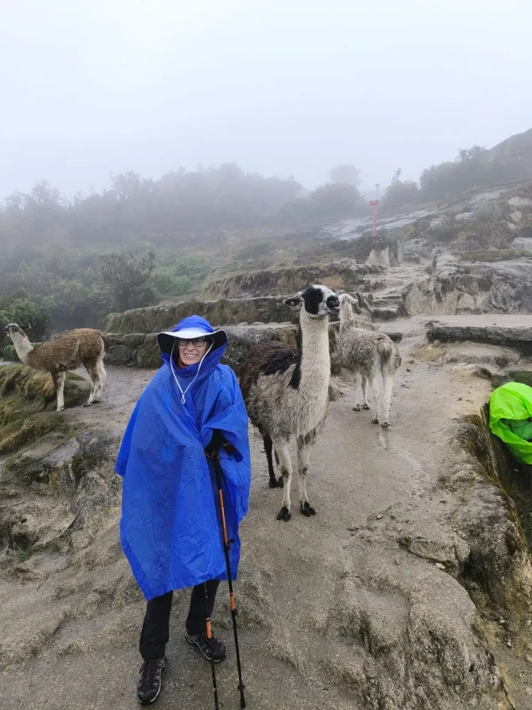 Rain in Machu Picchu