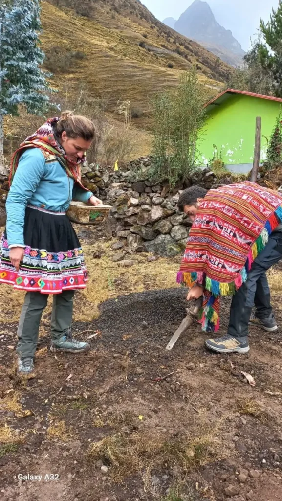 Scene of traditional agriculture in the Peruvian Andes