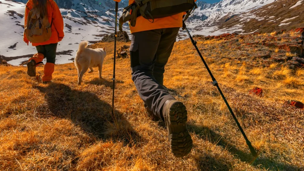 Trekking Poles